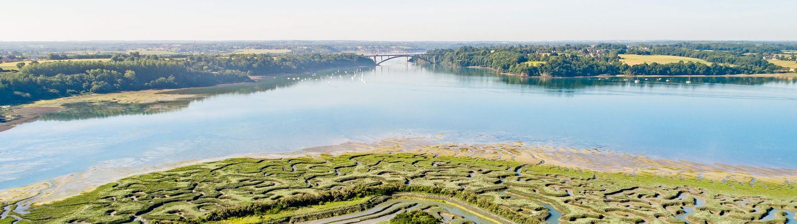 DJI_0008_2-1600x450.jpg