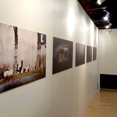 visuel expo 1200px (5).jpg