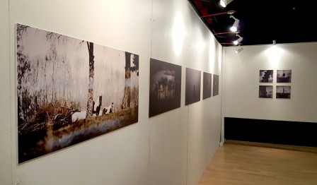 visuel expo 1200px (5).jpg